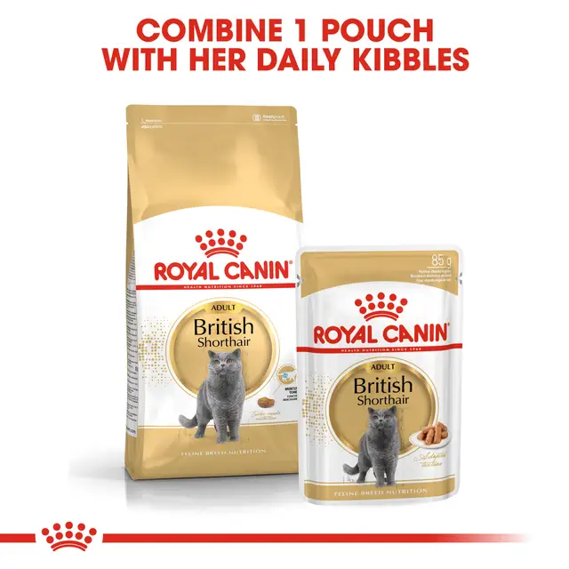 Royal Canin British Shorthair Adult 85g