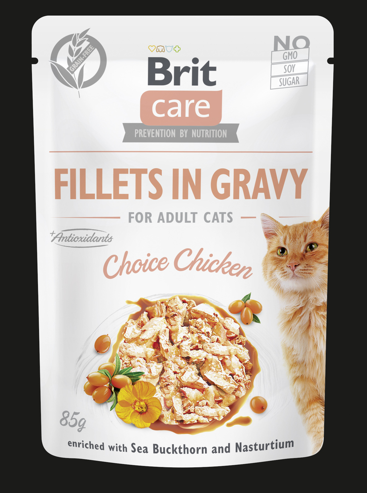 Brit Care Adult in Sauce Huhn 85g
