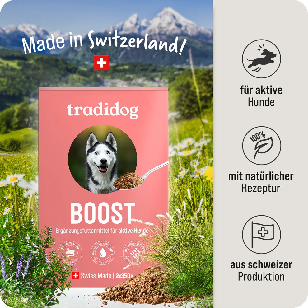 Tradidog Boost Box, Nahrungsergänzung für Hunde 2x350g