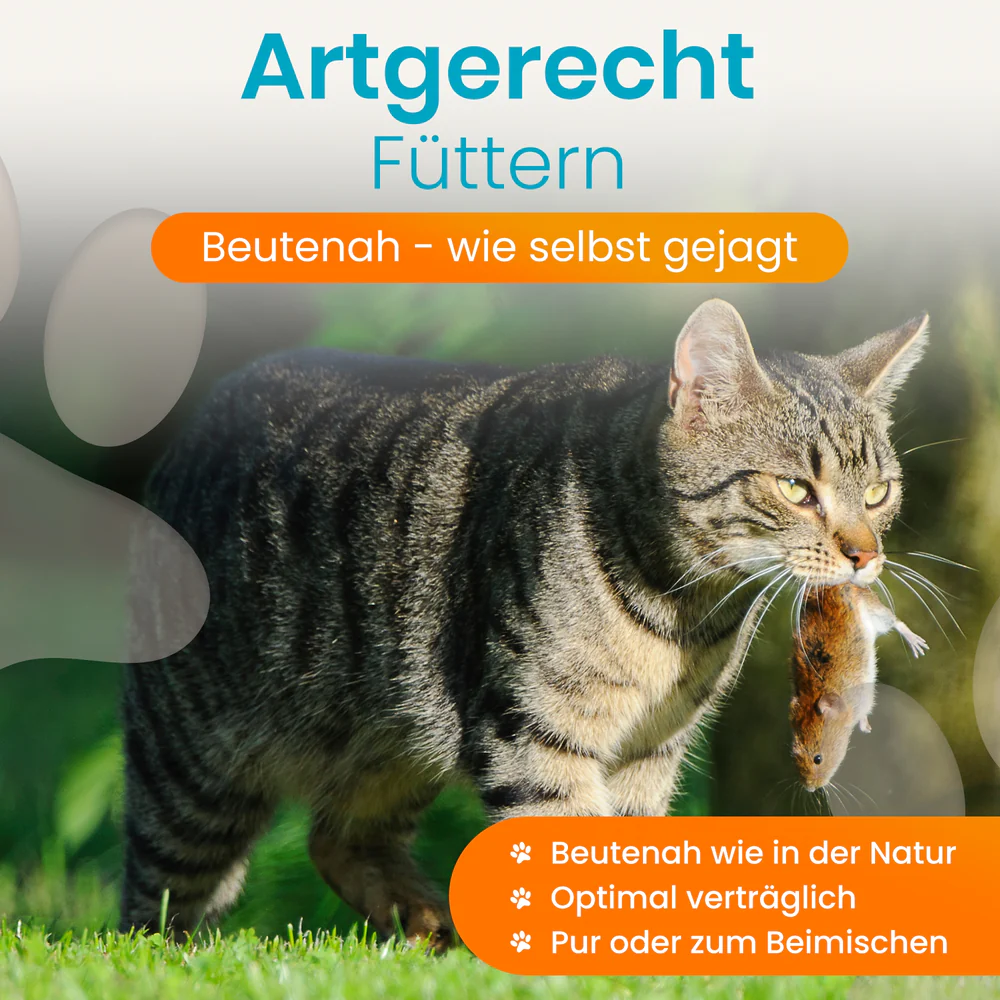 Lucky-Kitty Cat, Nassfutter, Premium Dose, 100% Maus Pur 100g