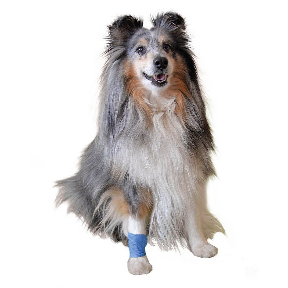 Petlando Dog Vetlando, Verbandsmaterial / Heimtierpflaster, 8x5x5cm