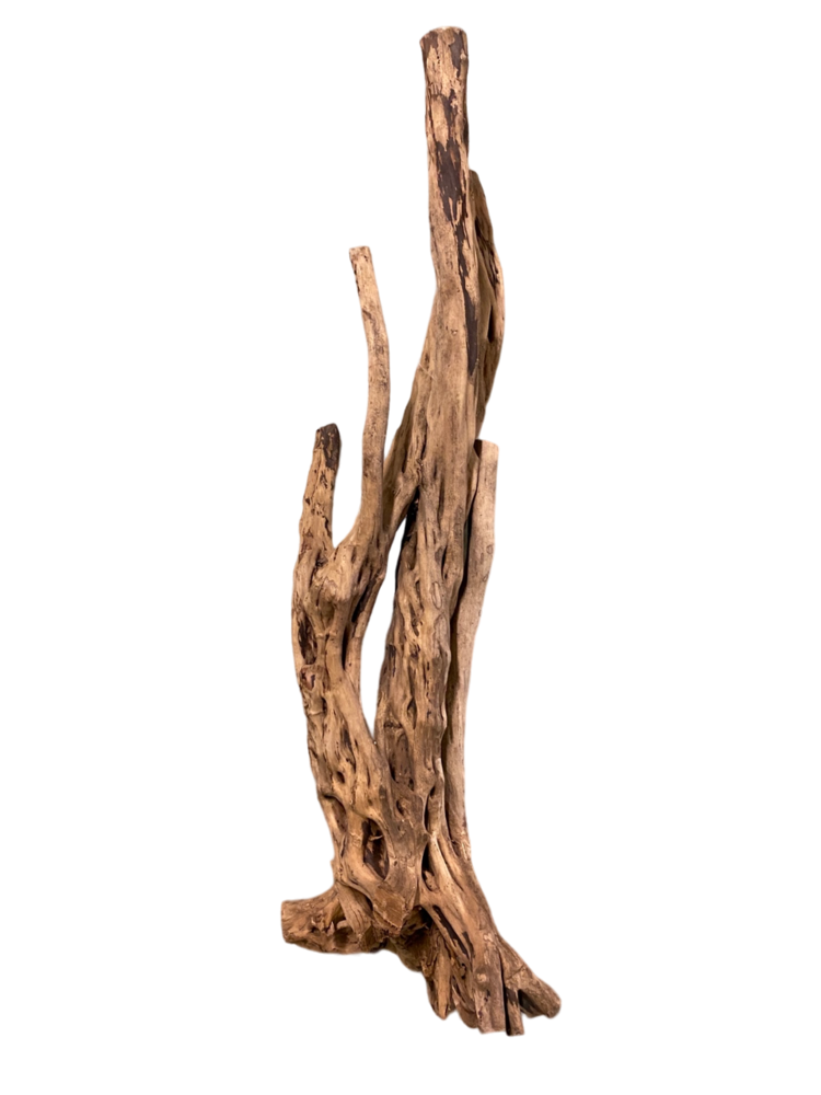 Tribu Holz 100-120cm