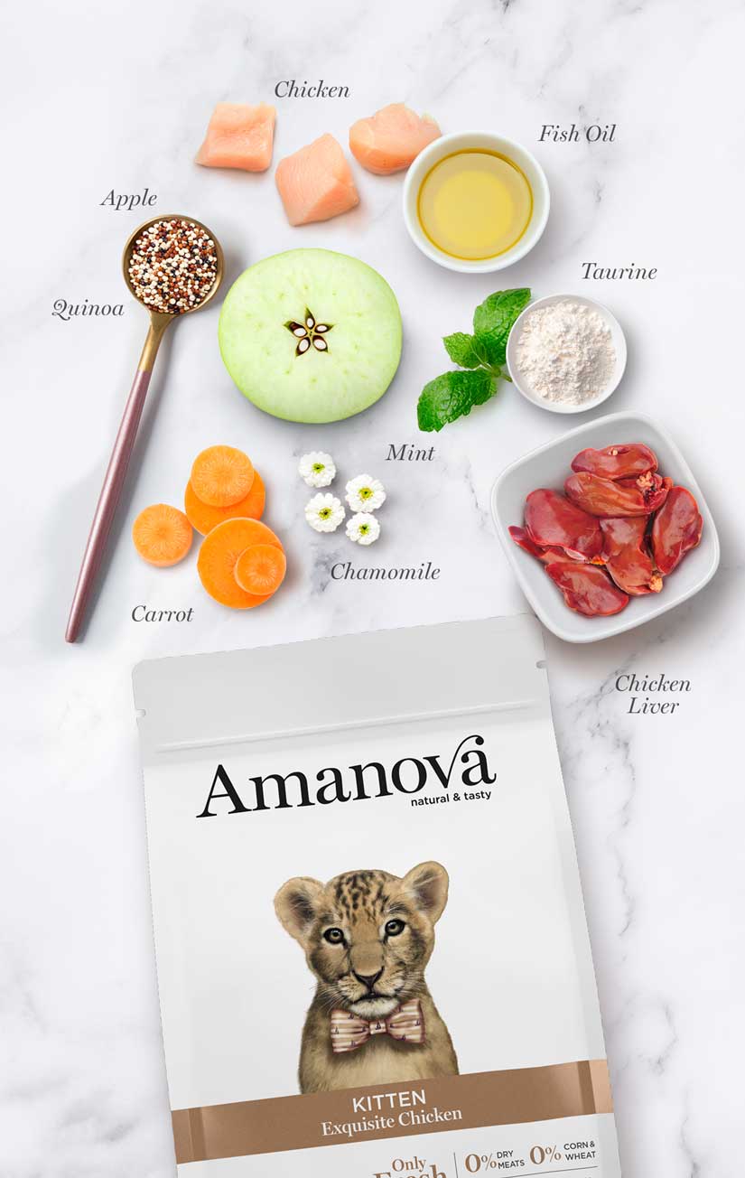 Amanova Katze, Trockenfutter Low Grain, Kitten Huhn, 300g