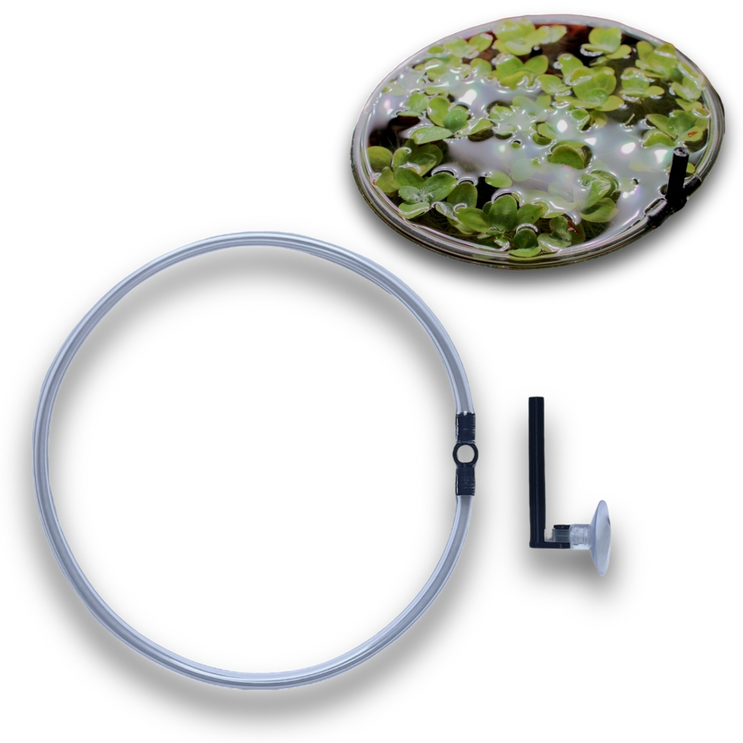 3D Schwimmring mit Saugnapf