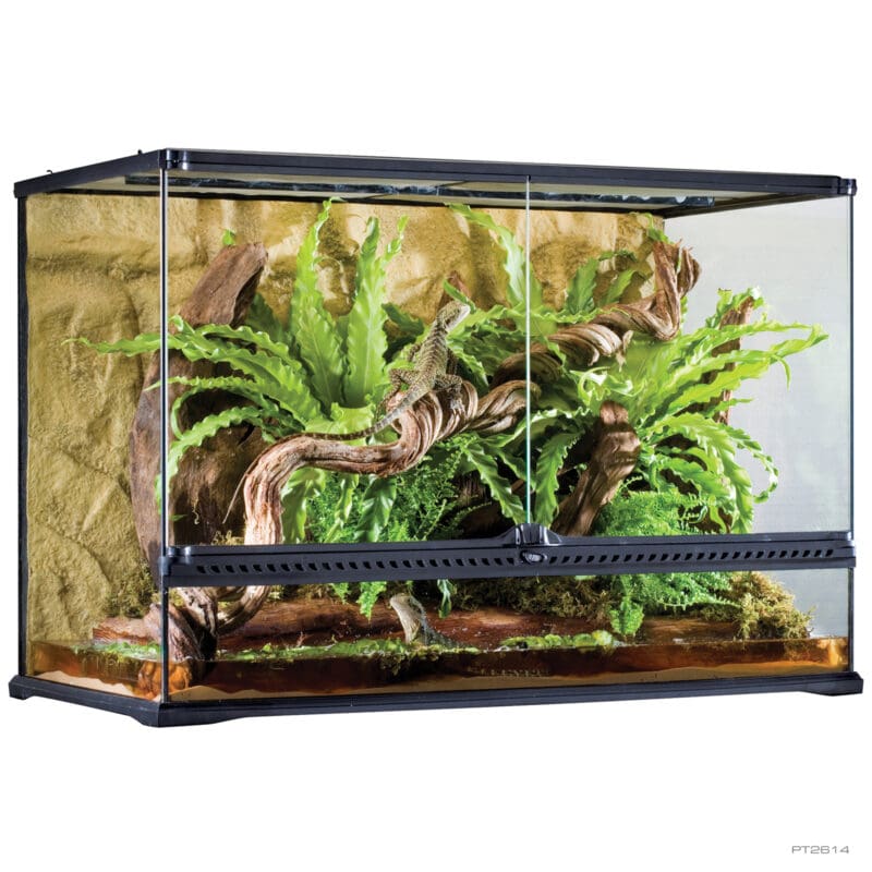 Exo Terra Glas Terrarium Large