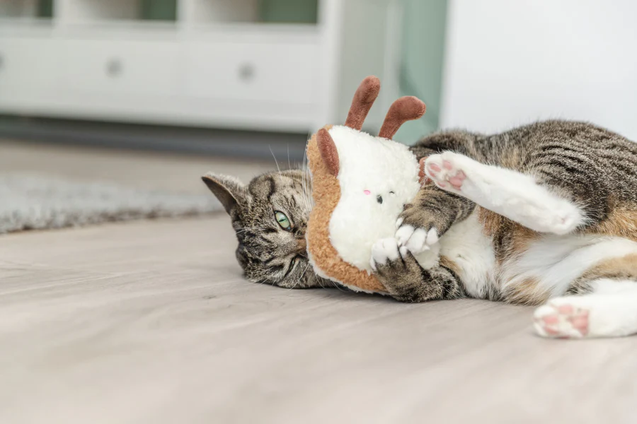 Trixie, Katzenplüschtier, Toast XXL, Plüsch, USA, Katzenminze, 18cm
