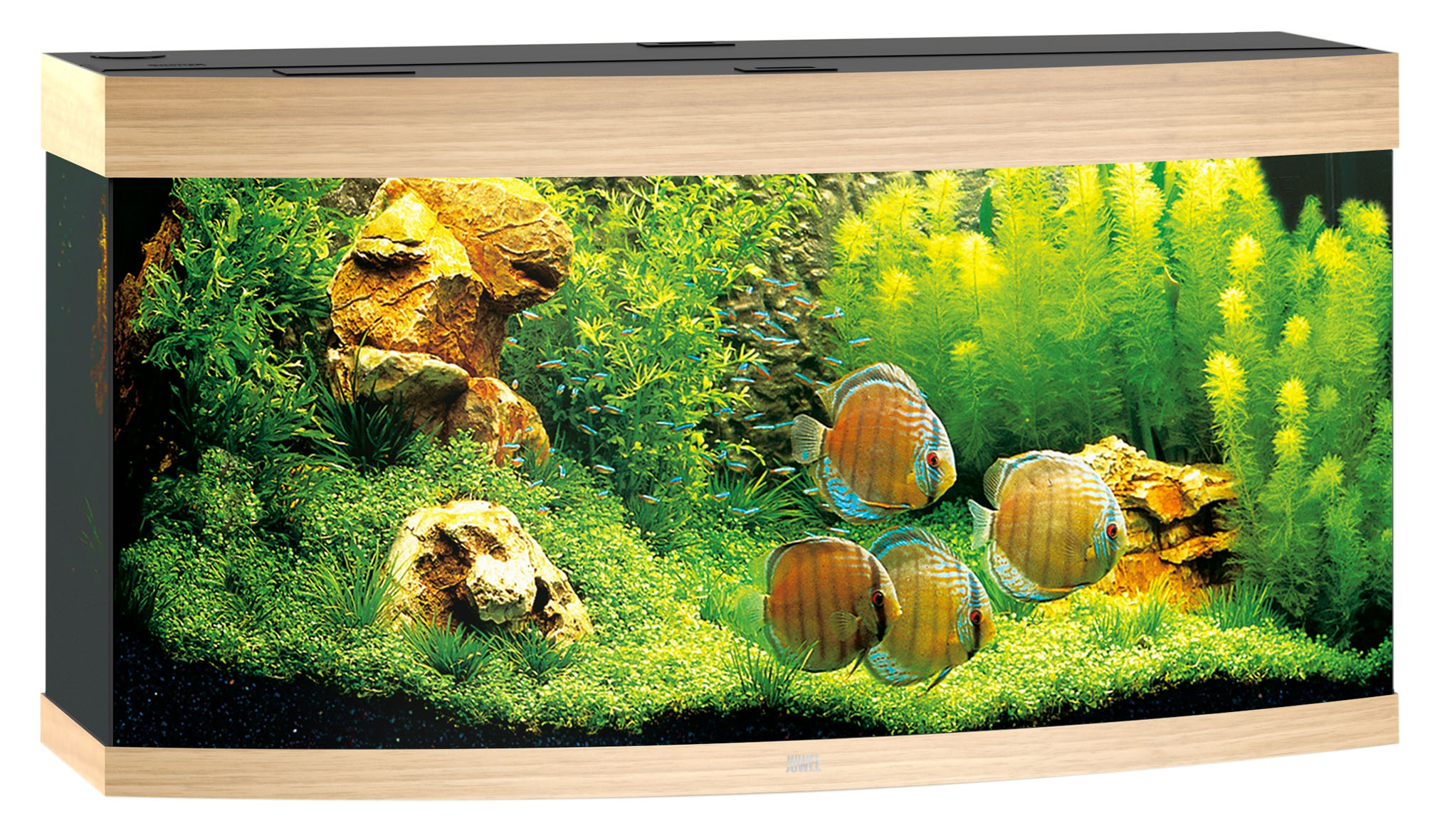 Juwel Aquarium Vision 260 LED