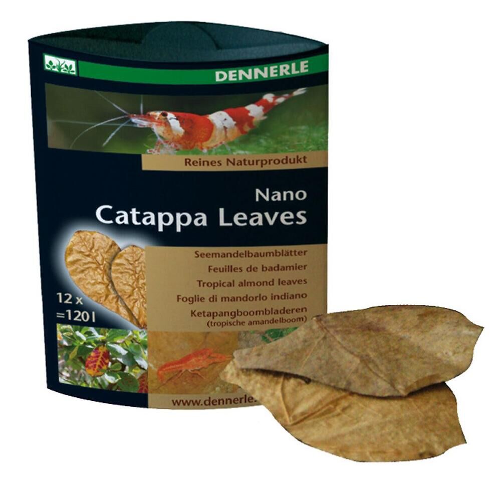 Nano Catappa Leaves 12Stk.