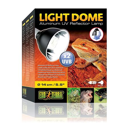Light Dome