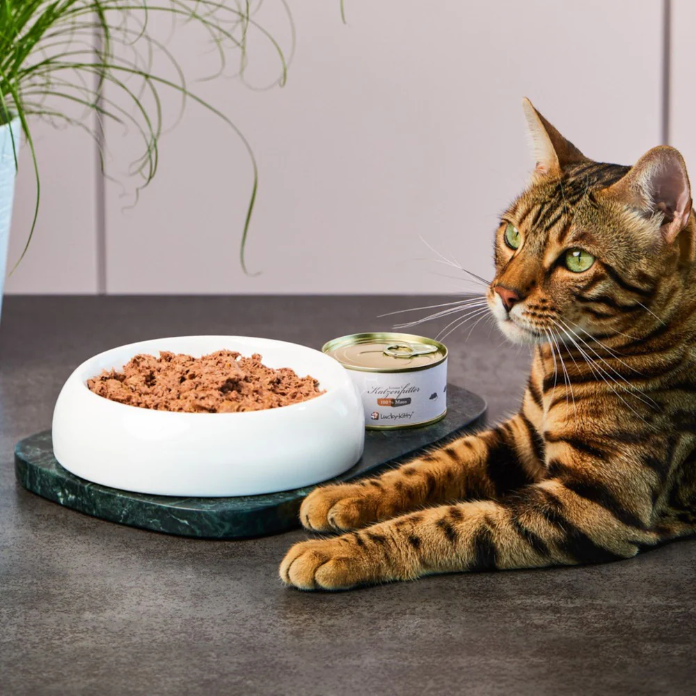 Lucky-Kitty Cat, Nassfutter, Premium Dose, 100% Maus Pur 100g