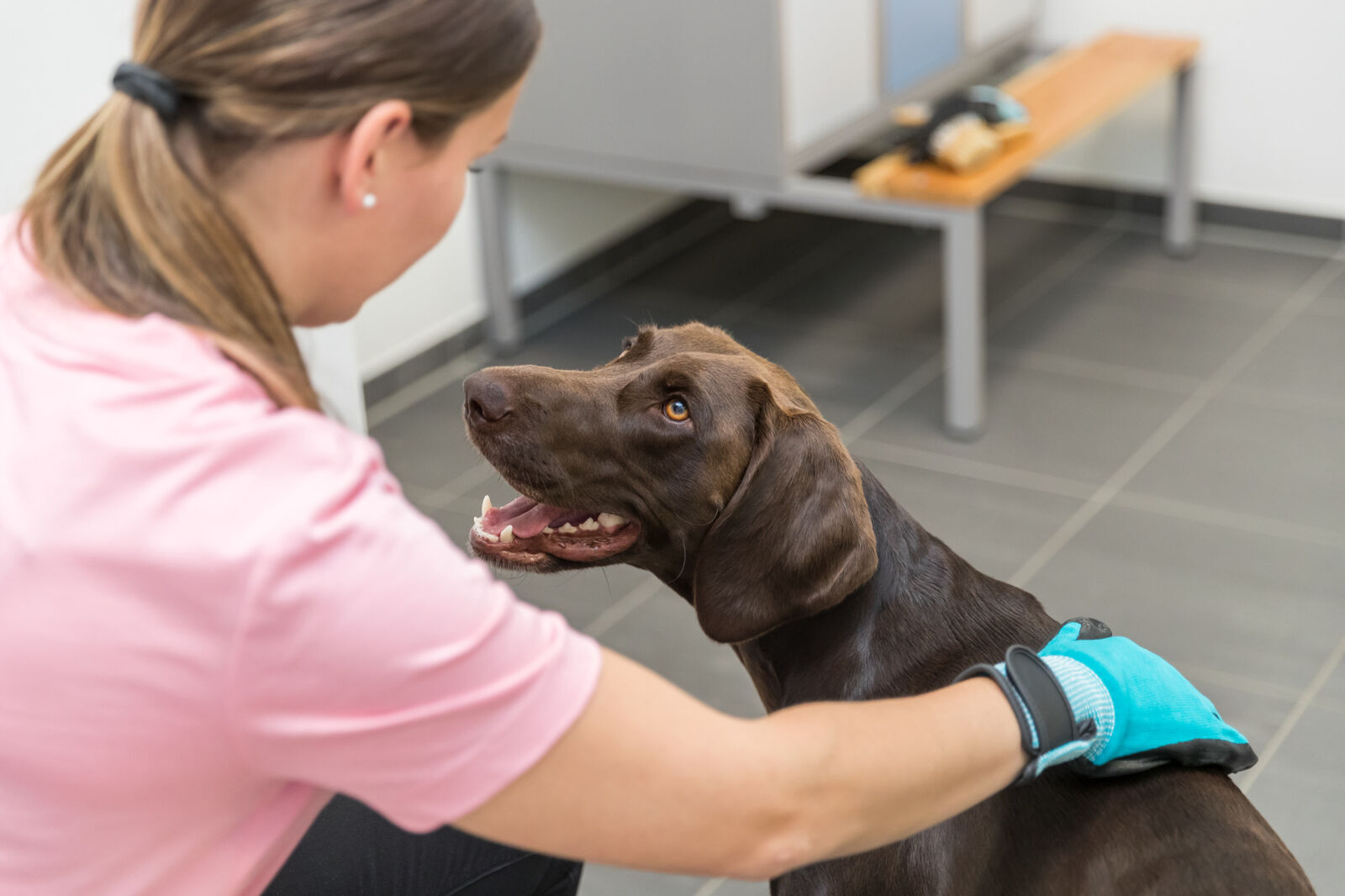 Trixie Fellpflege Handschuhe, 1 Paar, Nylon/Gummi, 16x23cm