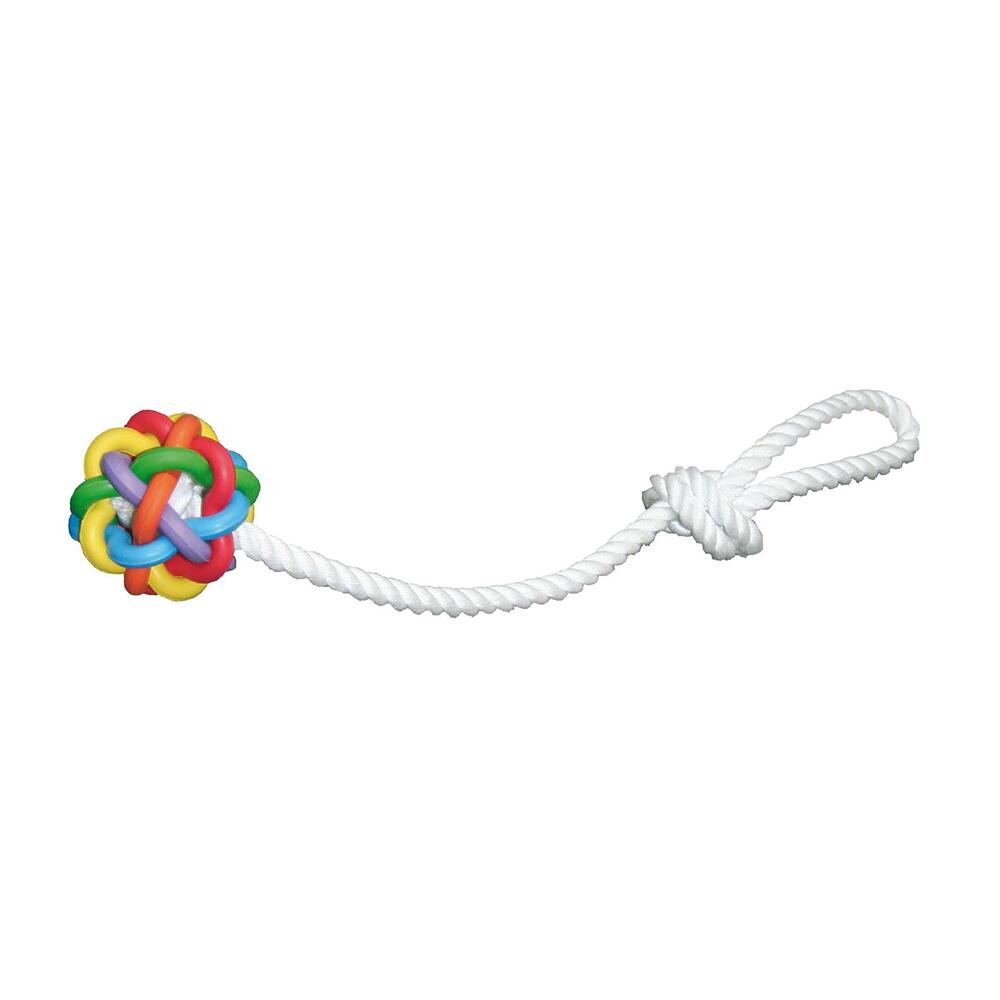 Swisspet Spielzeug Ball mit Seil