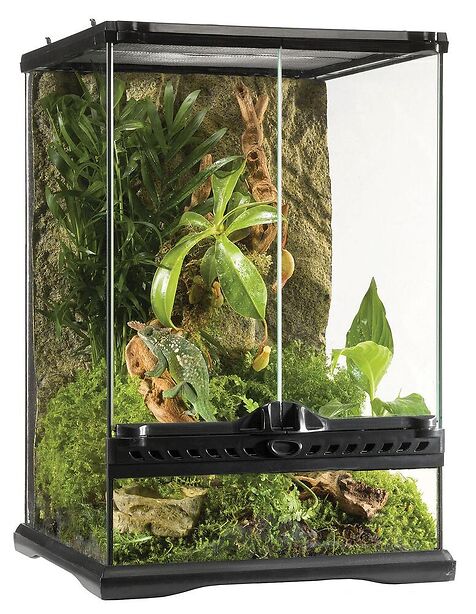 Exo Terra Glas Terrarium Mini