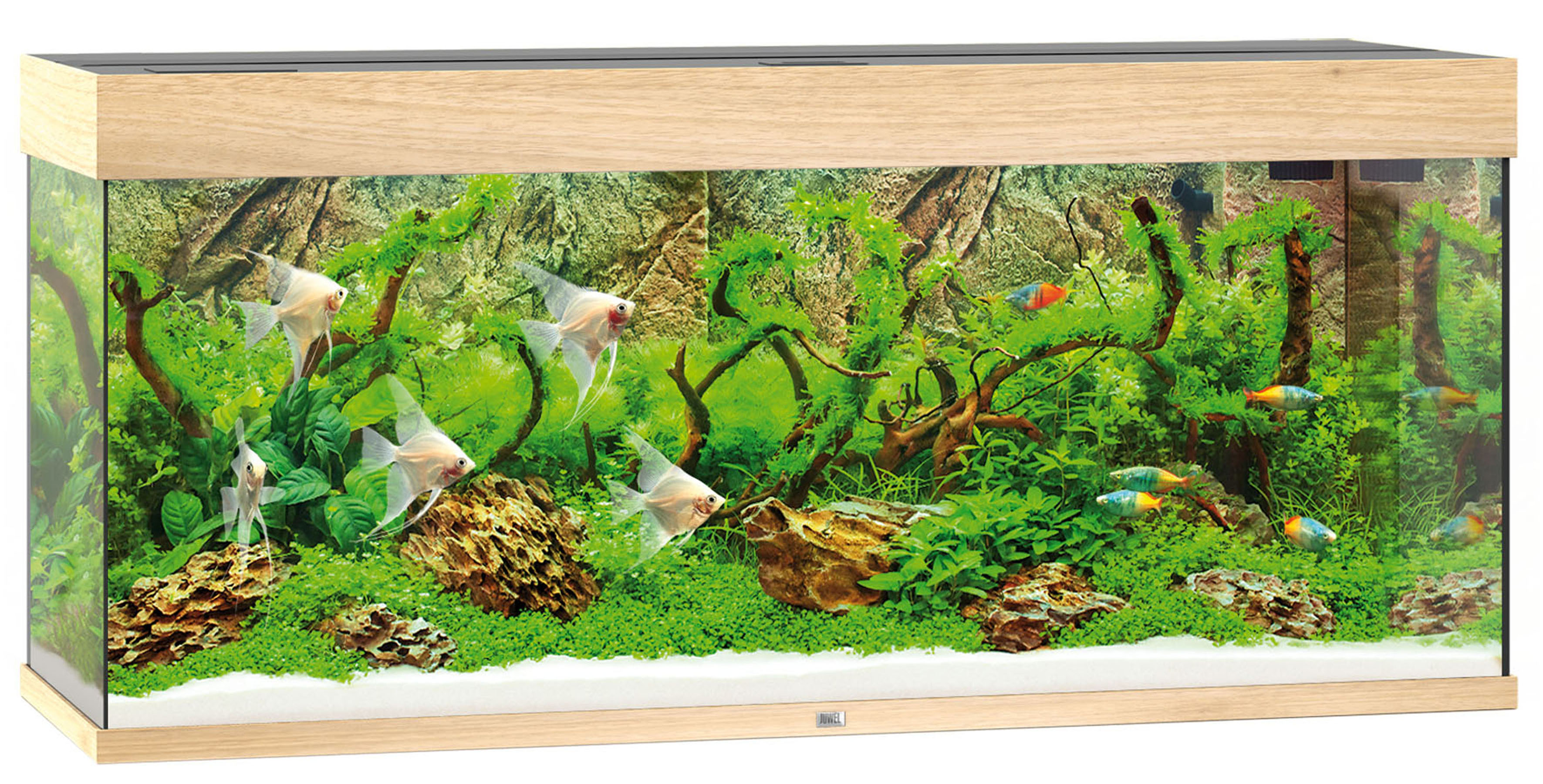 Juwel Aquarium Rio 240 LED