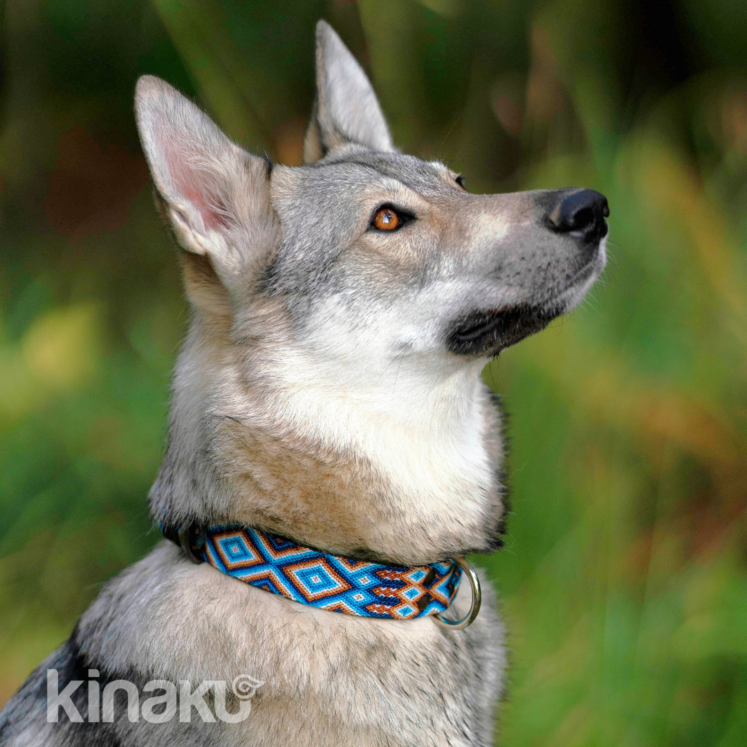 Kinakú Hundehalsband Nayarit XL, Blau-Ciel-Beige, 120g, 65x3.3cm