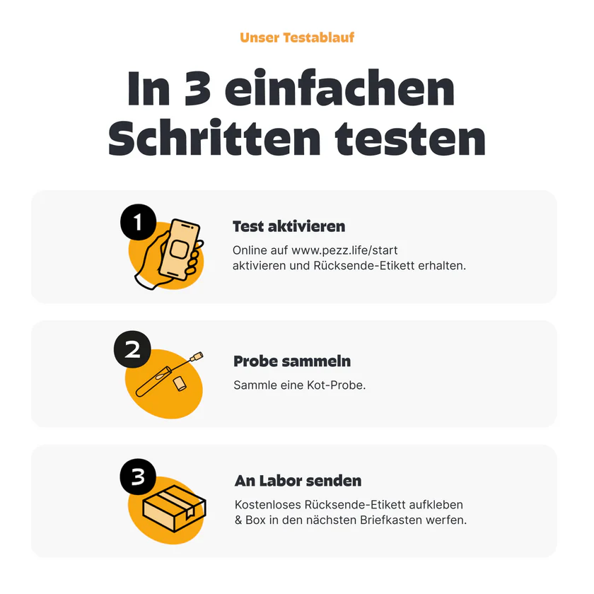 Pezz PCR Durchfalltest