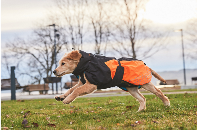 Non-stop dogwear Glacier jacket 2.0 schwarz/orange