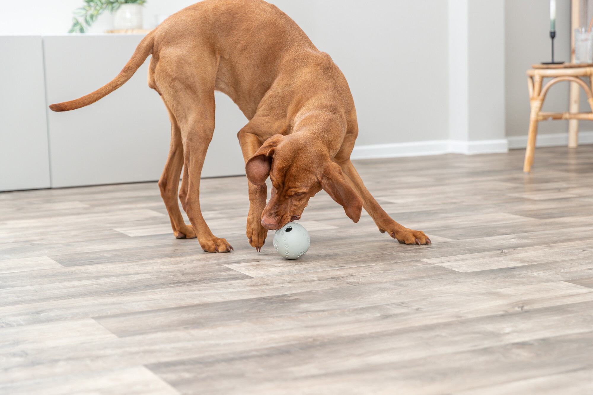 Trixie Ball Labyrinth-Snacky