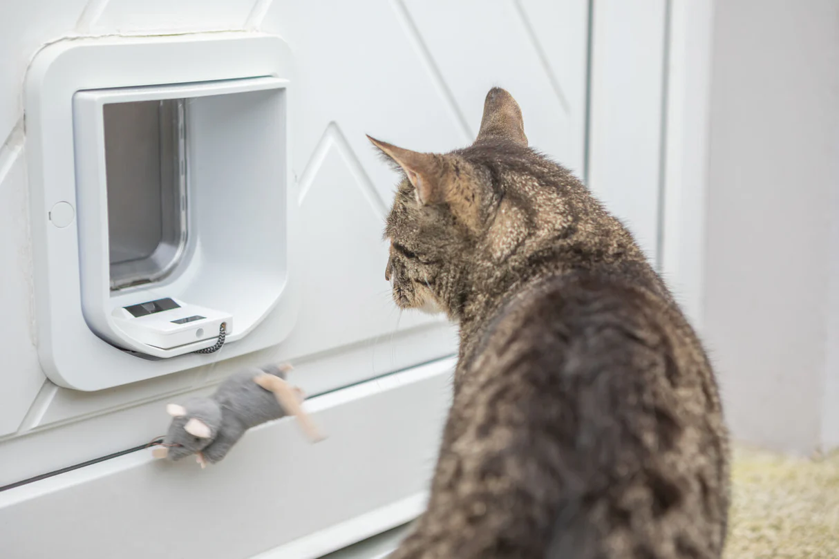 Zero Mouse 2.0 Smarter Beute-Stopper für bestehende Katzenklappen