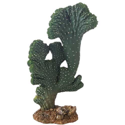 Terra Kaktus Victoria 2 22cm