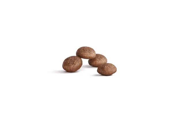 Royal Canin FHN Ageing Trockenfutter Katze 11+