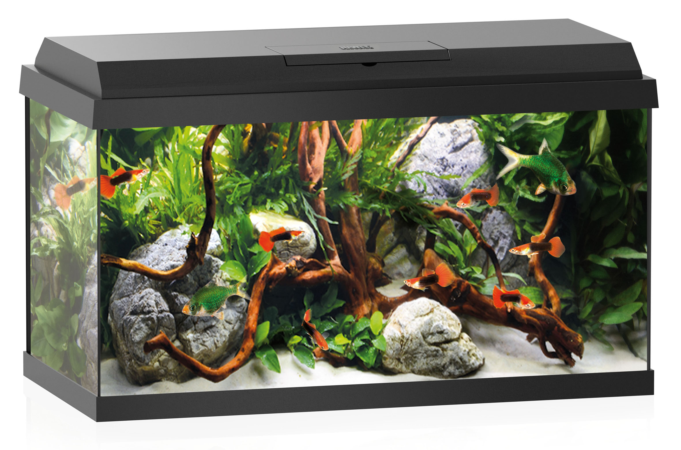 Juwel Aquarium Primo 60 LED