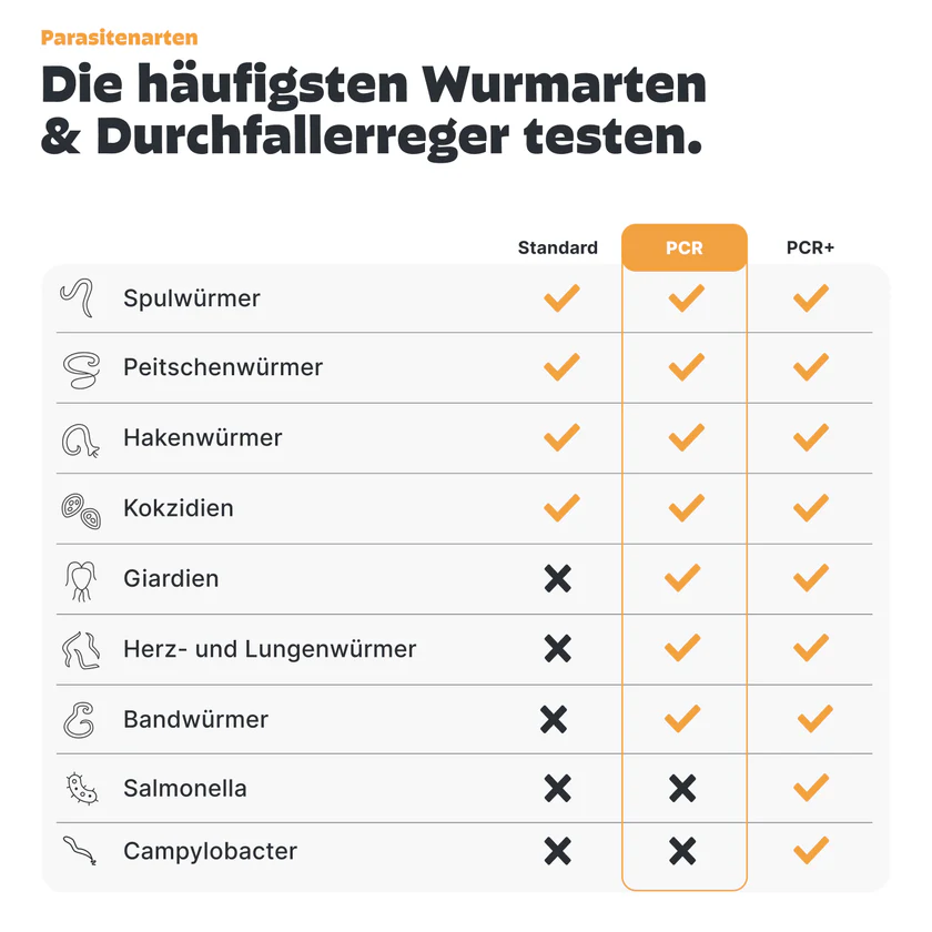 Pezz PCR Wurmtest