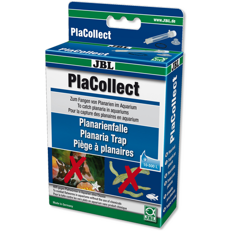 PlaCollect Planarienfalle