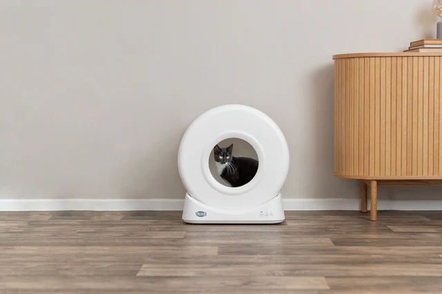 Trixie Smarte Katzentoilette, Kunststoff, 51x56x54cm, weiss, Selbstreinigend