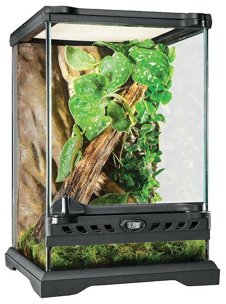 Exo Terra Glas Terrarium Nano