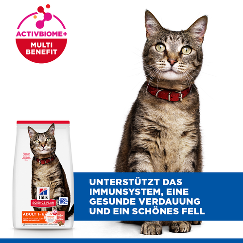 Hill's Feline Adult Lachs 1.5kg