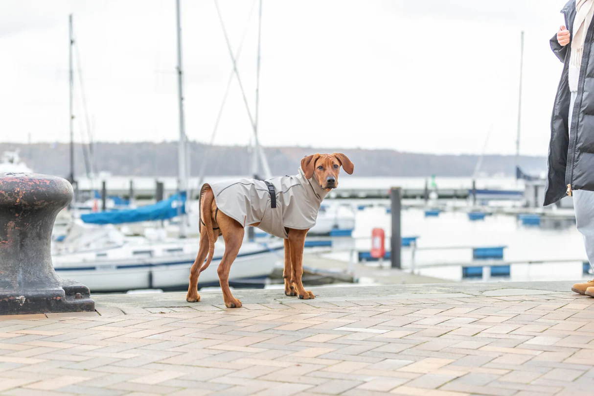 Trixie BE NORDIC, Regenmantel Husum, Sand, XS, 30cm