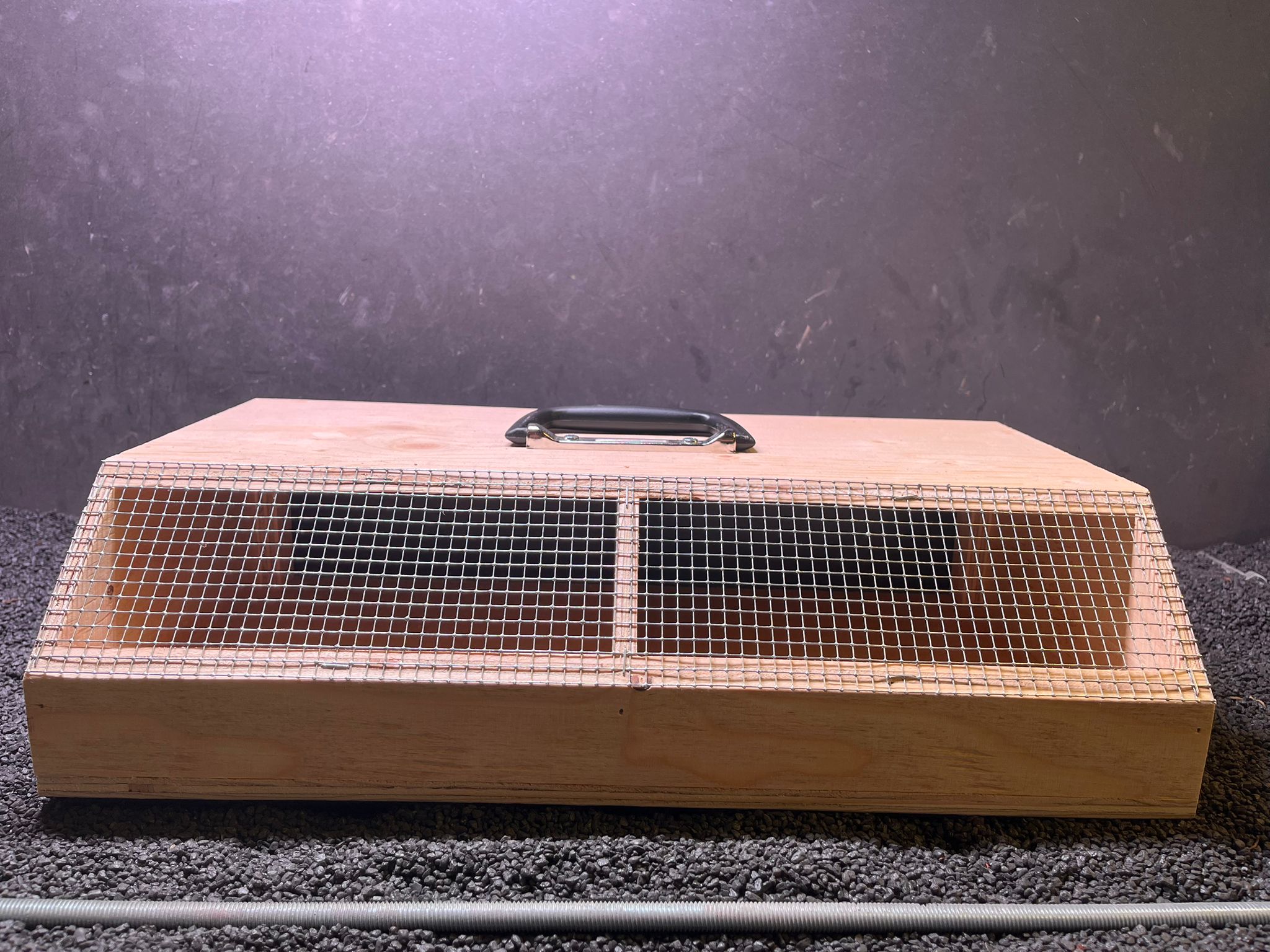 Vogeltransportbox Zweier Grosssittich