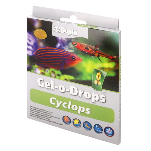 Dupla Fischfutter Gel-o-Drops Cyclops