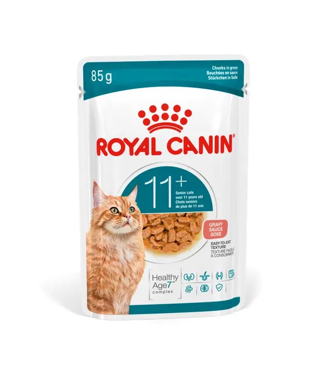 Royal Canin FHN Ageing Nassfutter Katze 11+, Stückchen in Sauce