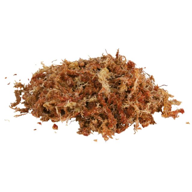 Trixie Terrarienmoos 100g