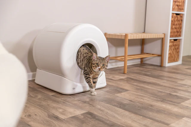 Trixie Smarte Katzentoilette, Kunststoff, 51x56x54cm, weiss, Selbstreinigend