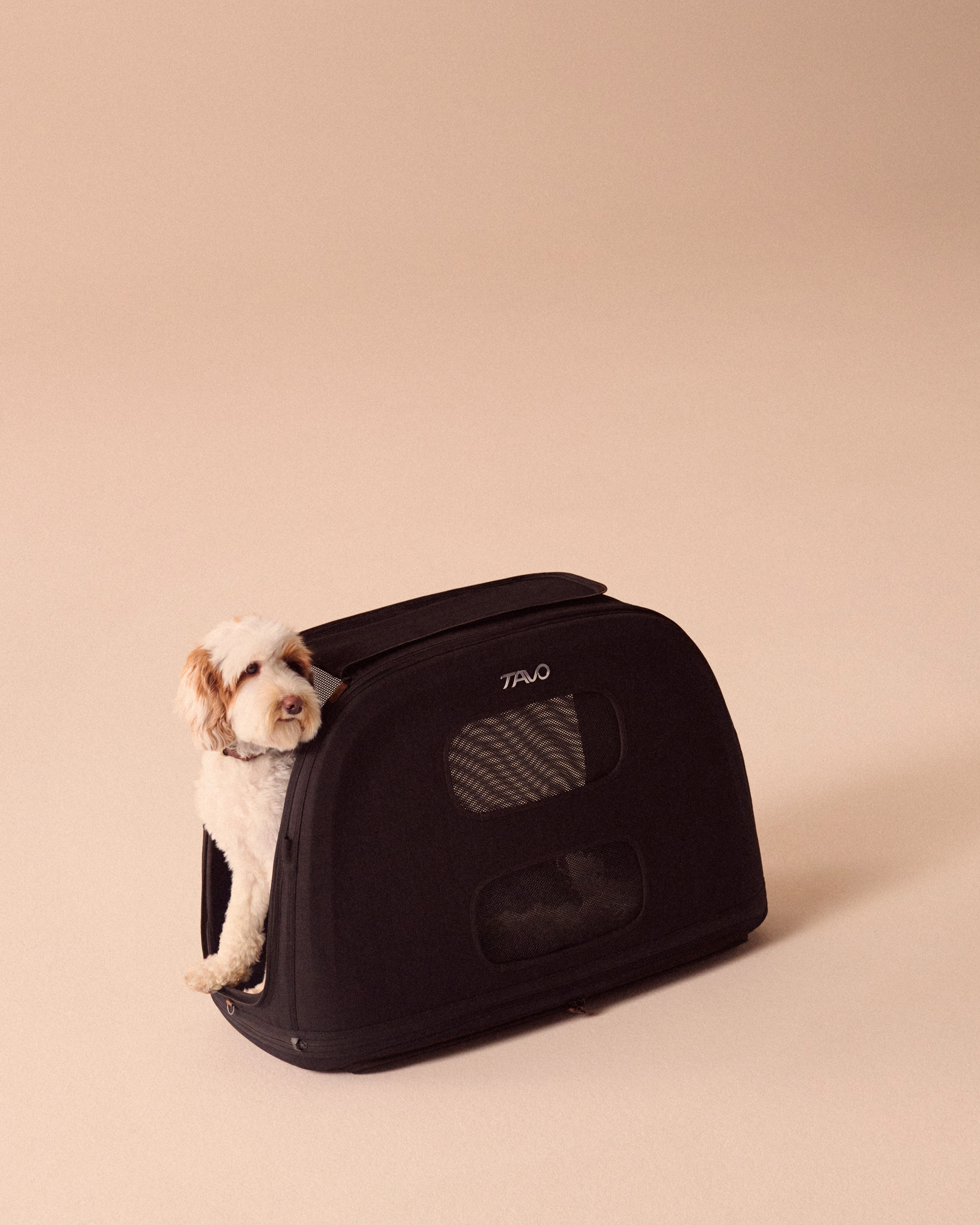 Tavo Crispin Transportbox für Haustiere
