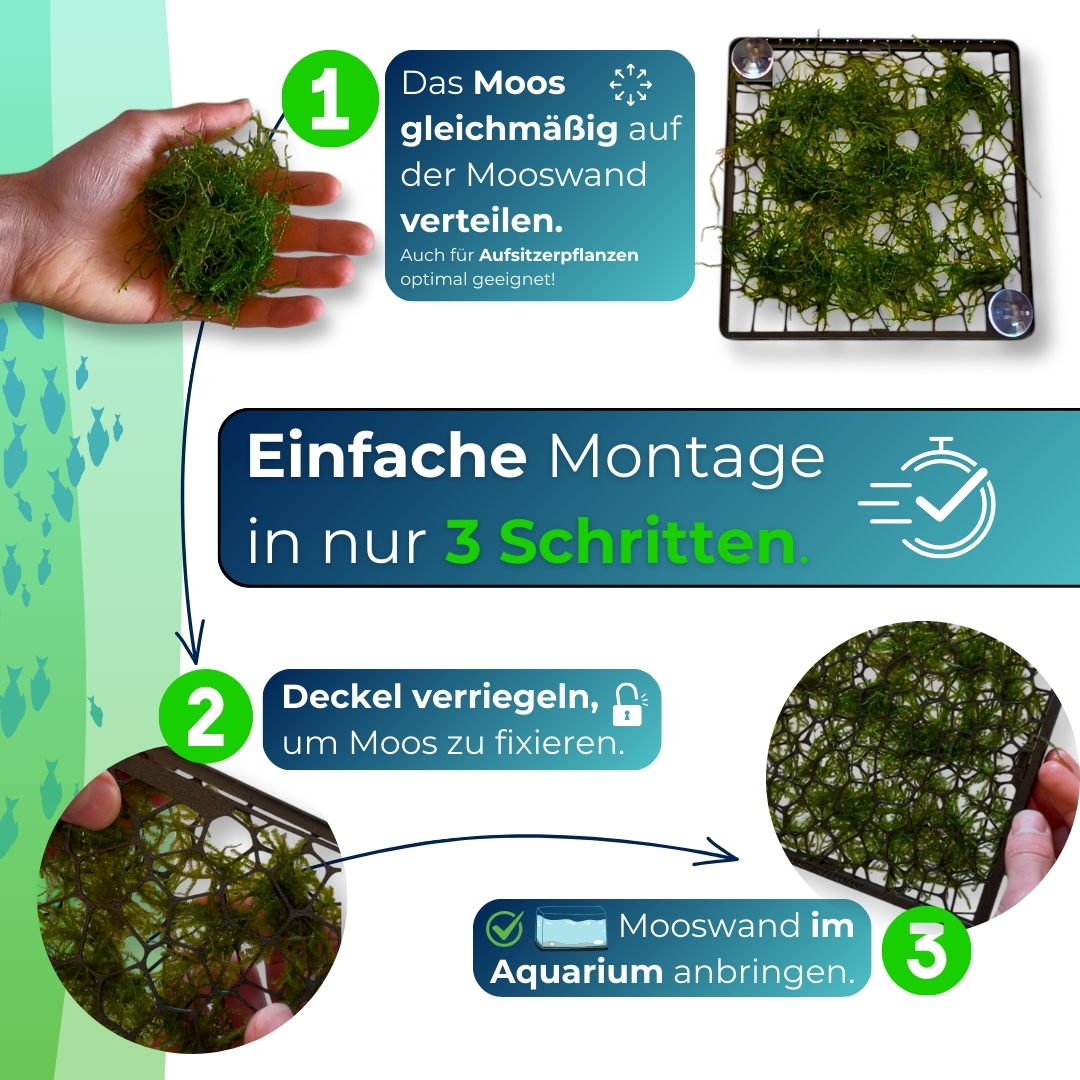 3D Mooswand mit Saugnapfbefestigung 18x18cm