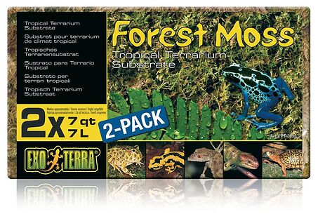 Forest Moss 7L 2-er Pack