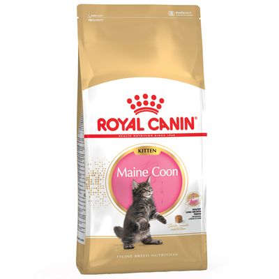 Royal Canin FBN Kitten Maine Coon 400g