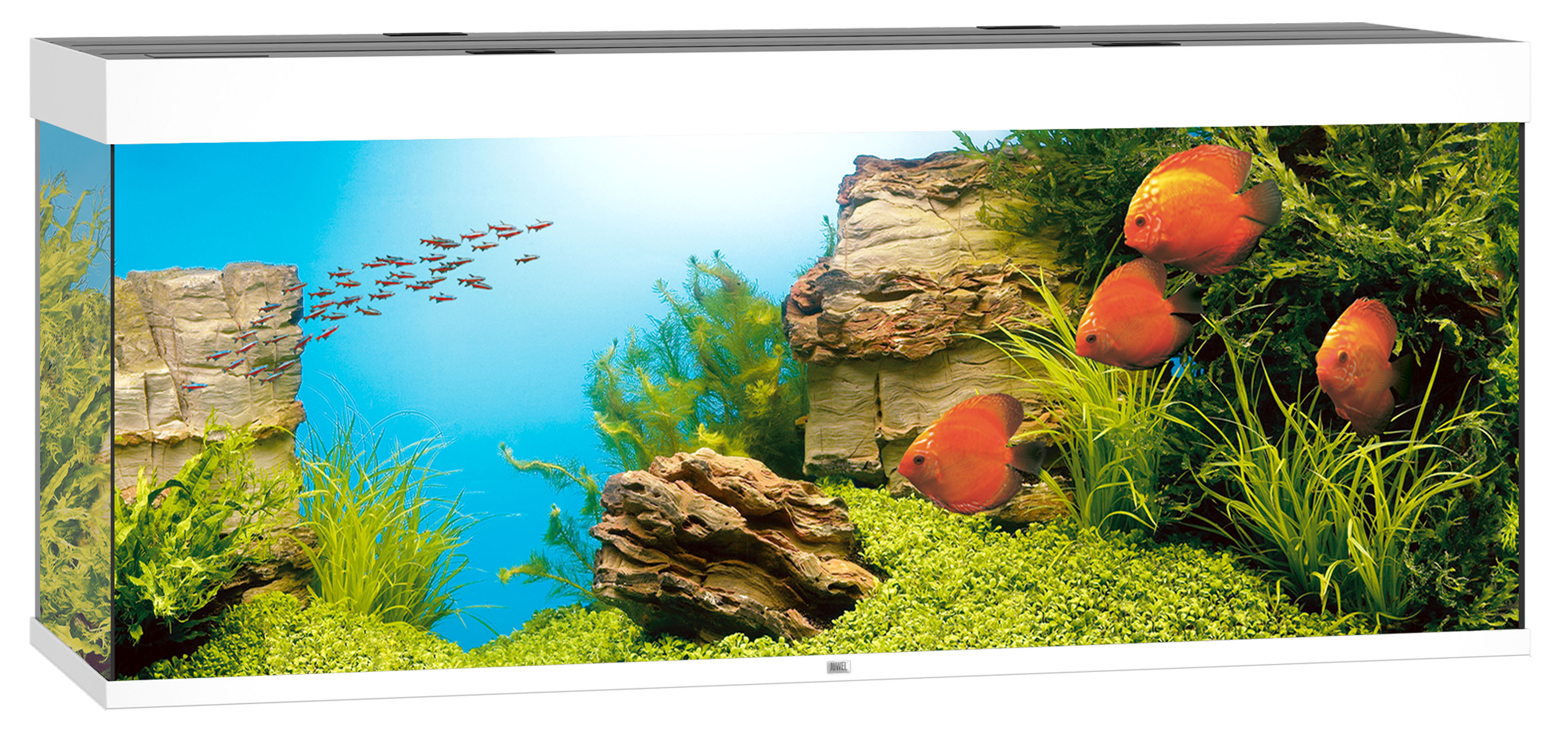 Juwel Aquarium Rio 450 LED