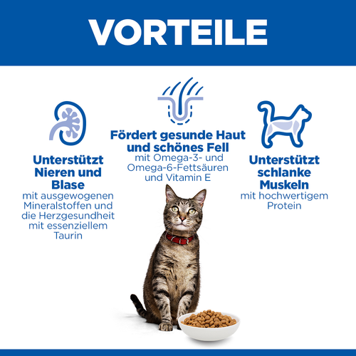 Hill's Feline Adult Lachs 1.5kg