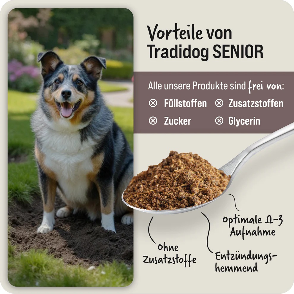 Tradidog Senior Box, Nahrungsergänzung für Hunde 2x350g