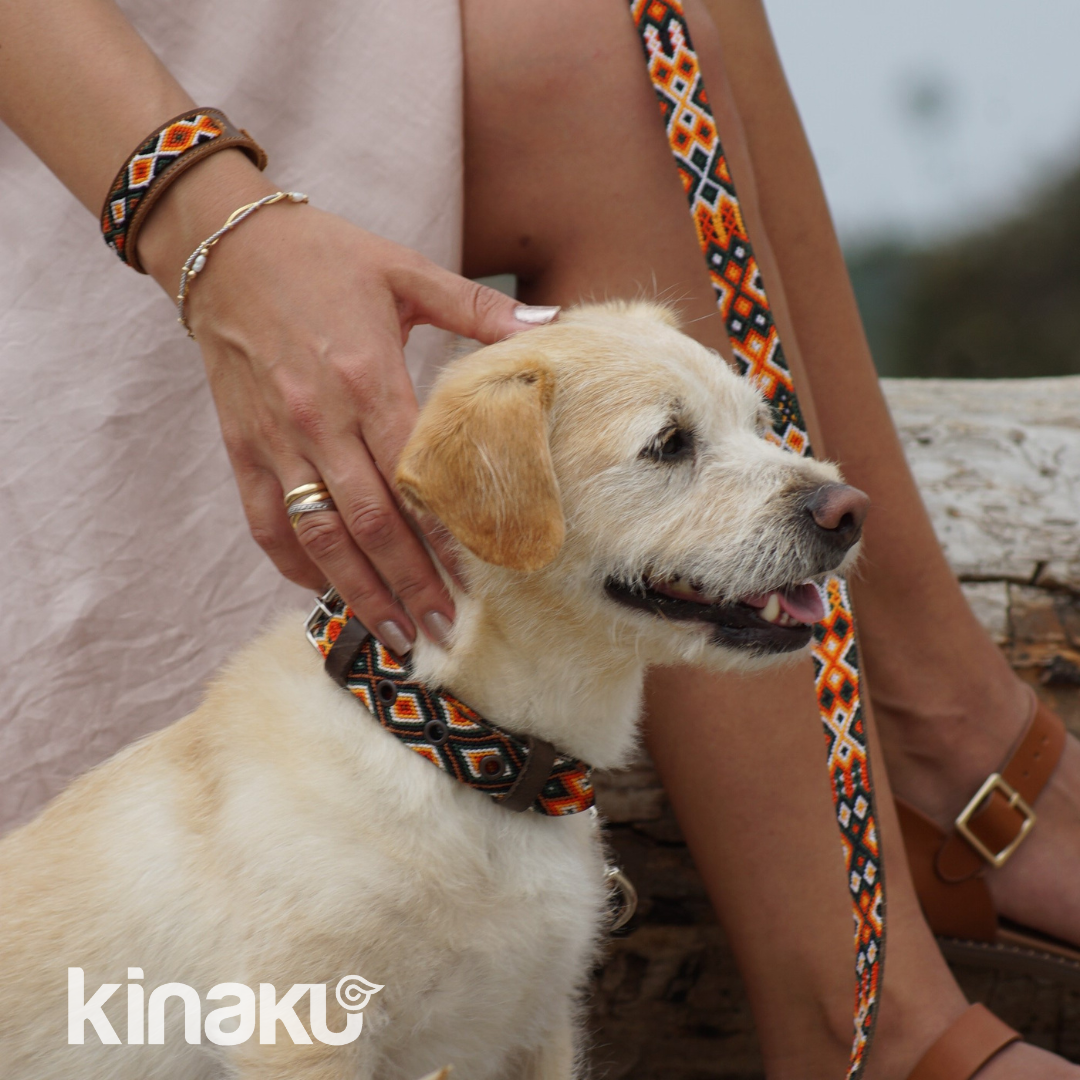 Kinakú Hundehalsband Bacalar XS, Braun-Orange-Oliv, 20g, 28x1.1cm