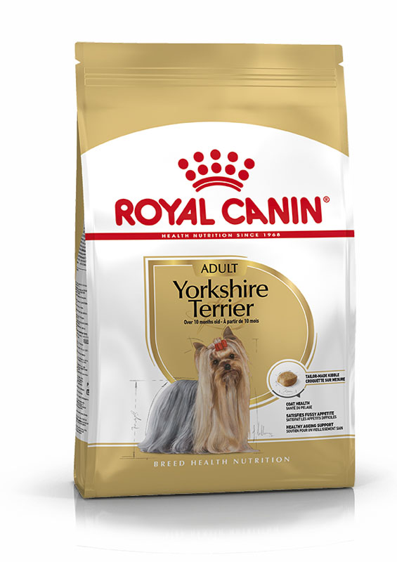 Yorkshire Terrier 1.5kg