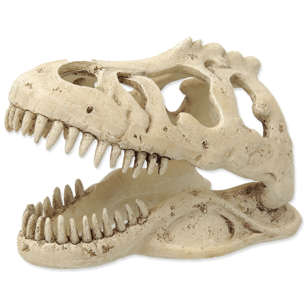 Repti Planet Dekoration T-Rex 13,3 x 8,5 x 9 cm