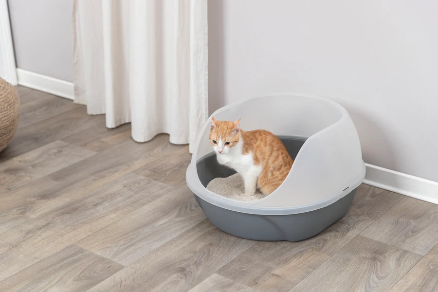 Katzentoilette Simao, hoher Rand, 48x30x58cm, grau