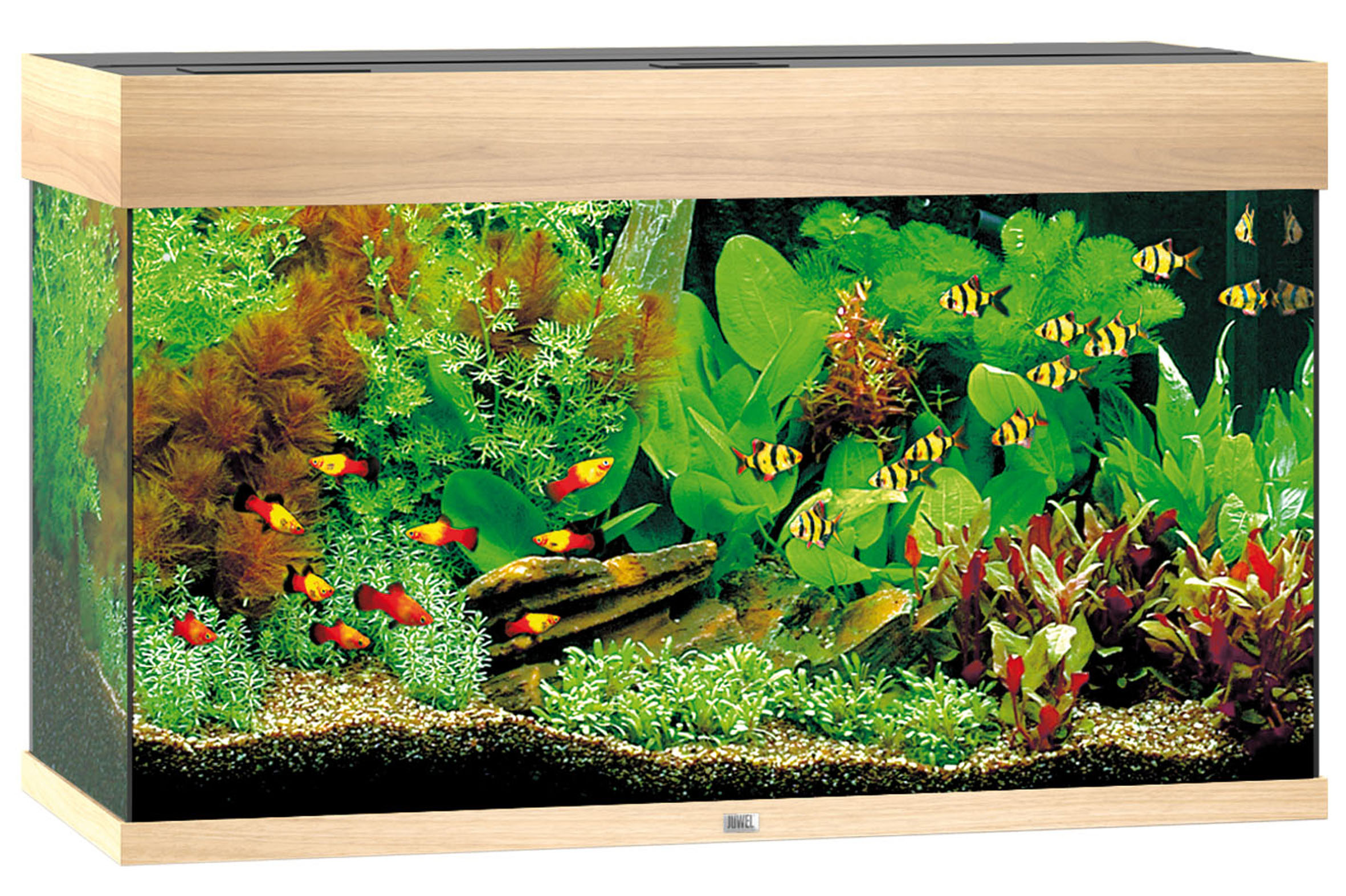 Juwel Aquarium Rio 125 LED