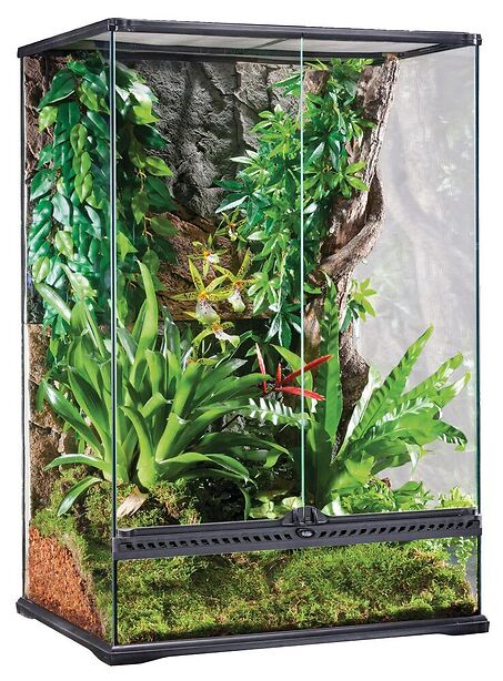 Exo Terra Glas Terrarium Medium